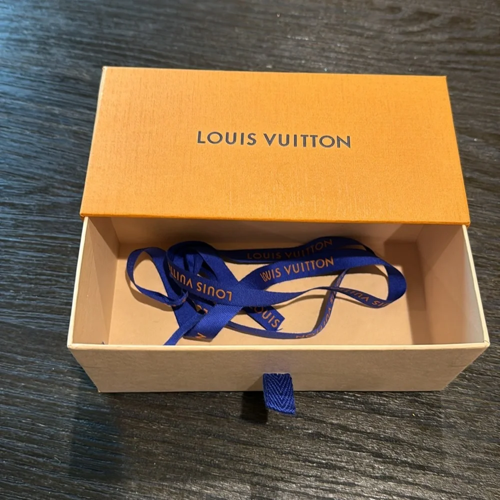 Louis Vuitton stylish louis